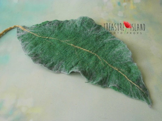 GUMNUT LEAF